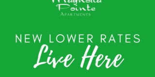 Magnolia Pointe Gallery 4