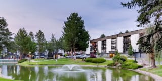 Sage at Panorama Gallery 12