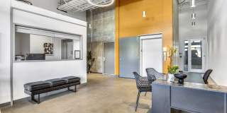 Koz at the Dome Gallery 2