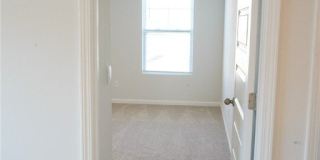 391 Coconut Drive Gallery 27