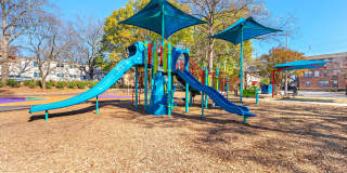 447 Wabash Avenue Northeast - 1 Gallery 19