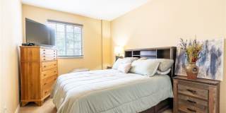 8713 Pegasus Drive Gallery 26