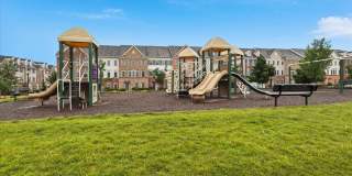24594 Laurel Lake Terrace - 1 24594 Laurel Lake Terrace - 1 Gallery 32