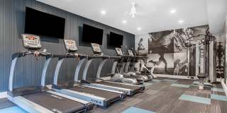 Cobalt Springs Gallery 11