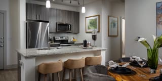 Arcadia Dr. Phillips Arcadia Dr. Phillips Gallery 7