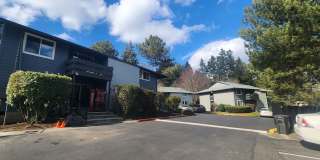 Windmill Gallery 13
