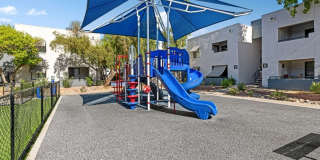 Chandler Ridge Gallery 16