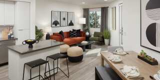 ZIA Apartments Gallery 2