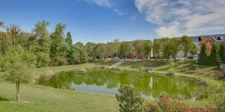 Summerfield at Morgan Metro Gallery 26