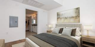 Vineyards Gallery 153