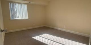 Northgate Gallery 303