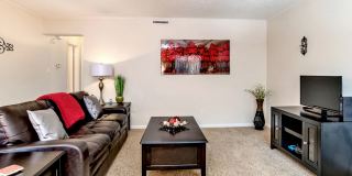 Aspire Fillmore Gallery 14