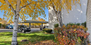 Peaks on Pines Gallery 23