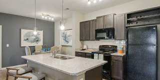 Dream Asheville Exchange Gallery 15