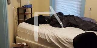 162 Thorndike St #1A Brookline MA 02446 Gallery 4