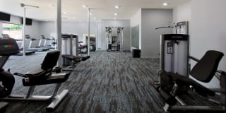 Tanglewood Gallery 37