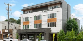 Thirty-One Apartments - Student Housing Gallery 28