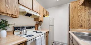 Desert Springs Gallery 14