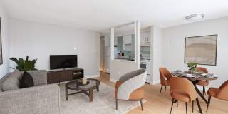 805 Dahlia Gallery 1