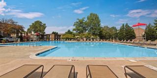 Cinnamon Run at Peppertree Farm Gallery 27