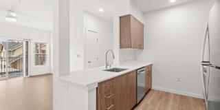 Modera Lacey Gallery 21