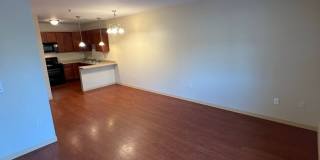 City Deck Landing Gallery 20