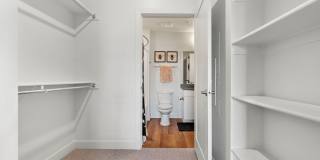 The Revival Gallery 95