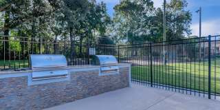 Sawgrass Apartments Gallery 7
