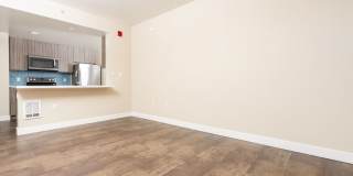 SOMA at 788 Gallery 1