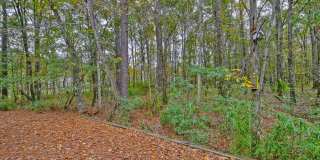 3 Bedroom, 2.5 Bathroom Townhome in Ellington Woods - Mt Pleasant Gallery 39