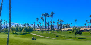 76570 Hollyhock Drive Gallery 43