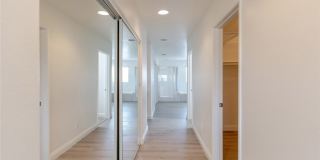 38938 Malva Rosa Drive Gallery 13