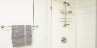 Magnolia at West Lemmon Gallery 26