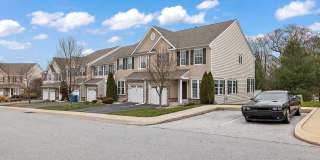 253 TALL TREES Circle Gallery 1