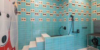 CALIXA Apartment Homes Gallery 30