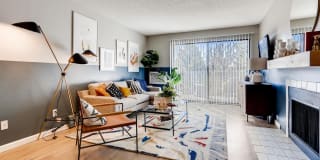 Sage at Panorama Gallery 2