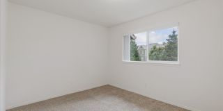 Cedar Grove Gallery 17
