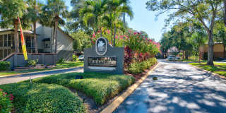 TimberLake Gallery 31