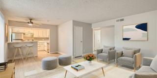 Rise Skyview Gallery 49