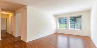 Seneca Place Gallery 19