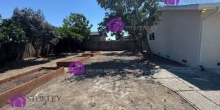 6346 Escallonia Drive Gallery 31
