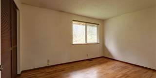 Bright spacious 4-bedroom 2.5 bath home in Bellevue Gallery 18