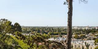 6310 Tompkins Way Gallery 11