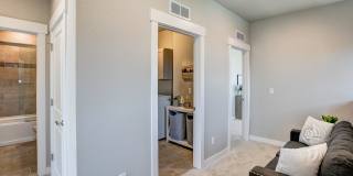 Mangold831 (KC-LN) Gallery 36
