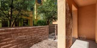 2442 East Emerald Moon Drive - 1 Gallery 31