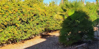 4343 Carta Luna Street 4343 Carta Luna Street Gallery 7