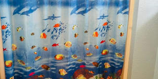 3 Bed - 2 Bath - Fenced Yard Gallery 1