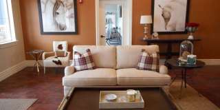 Sundance at Baxter Meadows Gallery 18