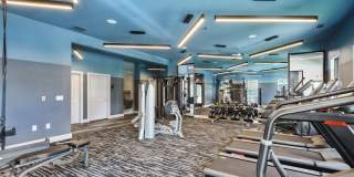 Collier Luxury Living Gallery 14