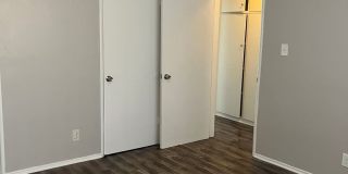 BALDWIN 08 Gallery 41